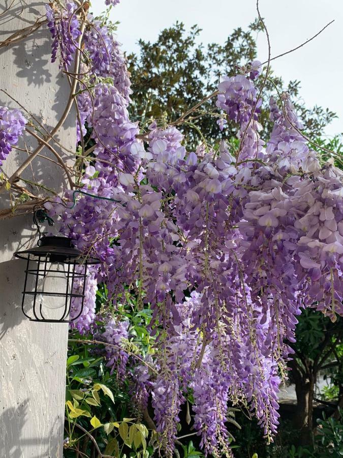 فندق Baloccoفي  Castello Della Bastia المظهر الخارجي الصورة